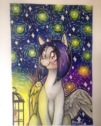 Size: 768x960 | Tagged: safe, artist:madkadd, oc, oc only, species:pegasus, species:pony, candle, firefly, insect, lantern, night, outdoors, pegasus oc, sitting, smiling, solo, stars, traditional art, wings