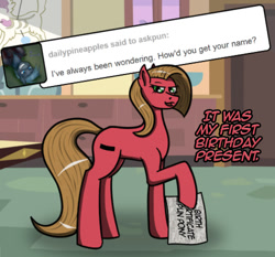 Size: 858x800 | Tagged: safe, artist:lucandreus, oc, oc:pun, species:earth pony, species:pony, ask pun, g4, ask, solo