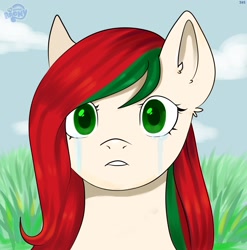 Size: 1580x1600 | Tagged: safe, artist:ske, oc, species:pony, g4, belarus, crying, ponified, solo