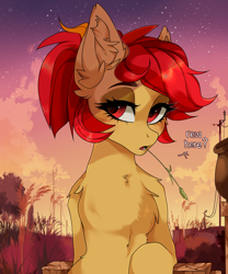 Size: 2000x2400 | Tagged: safe, artist:butterbit, oc, oc only, species:pony, g4, chest fluff, dialogue, evening, eyeliner, female, lidded eyes, looking at you, makeup, mare, scenery, sitting, solo, straw in mouth