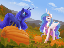 Size: 1500x1125 | Tagged: safe, artist:creamy_roux, character:princess celestia, character:princess luna, species:alicorn, species:pony, g4, autumn, cloud, female, jewelry, mare, mountain, open mouth, outdoors, profile, pumpkin, pumpkin patch, raised hoof, regalia, signature, sky, smiling, standing, three quarter view, wip