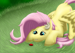 Size: 3484x2488 | Tagged: safe, artist:thebenalpha, character:fluttershy, species:pegasus, species:pony, g4, grass, insect, ladybug, smiling, wings