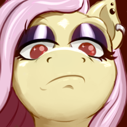 Size: 500x500 | Tagged: safe, artist:cocaine, character:fluttershy, species:pegasus, species:pony, g4, fluttergoth, goth, looking at you, not impressed, pathetic, piercing