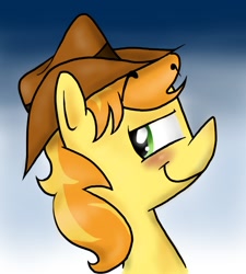 Size: 900x1000 | Tagged: safe, artist:mcnuggyy, character:braeburn, species:earth pony, species:pony, bust, gradient background, male, portrait, profile, smug, solo, stallion