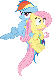 Size: 3054x4526 | Tagged: safe, artist:waranto, character:fluttershy, character:rainbow dash, absurd resolution, simple background, transparent background, vector