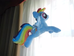 Size: 4000x3000 | Tagged: safe, artist:equestriaplush, character:rainbow dash, beanie (plushie), flying, irl, photo, plushie, solo