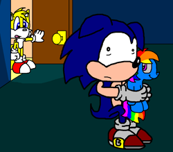 Size: 931x817 | Tagged: safe, artist:tagman007, character:rainbow dash, character:sonic the hedgehog, brony, crossover, plushie, sonic the hedgehog (series)