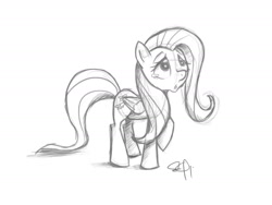 Size: 2400x1800 | Tagged: safe, artist:yikomega, character:fluttershy, female, monochrome, sketch, solo