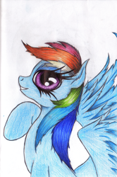Size: 798x1203 | Tagged: safe, artist:althyra-nex, character:rainbow dash, female, solo, traditional art