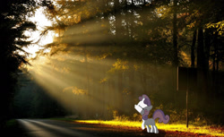 Size: 2013x1228 | Tagged: safe, artist:digitalpheonix, artist:muffinname, character:sweetie belle, forest, irl, photo, ponies in real life, road, sign, solo, vector