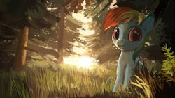Size: 1191x670 | Tagged: dead source, safe, artist:moo, character:rainbow dash, species:pegasus, species:pony, female, forest, mare, paintover, sitting, solo, tree