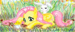 Size: 1206x519 | Tagged: safe, artist:dzetawmdunion, character:angel bunny, character:fluttershy, species:chicken, chick, duo, grass, lying down