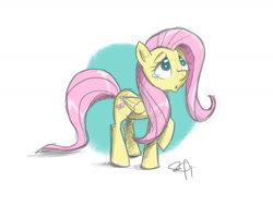 Size: 2400x1800 | Tagged: safe, artist:yikomega, character:fluttershy, crying, female, solo