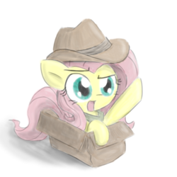 Size: 700x700 | Tagged: safe, artist:deadlycomics, character:fluttershy, species:pegasus, species:pony, box, cardboard box, clothing, cute, explorer outfit, fedora, female, hat, open mouth, pointing, pony in a box, raised eyebrow, raised hoof, shirt, shyabetes, simple background, solo, white background