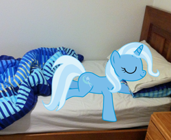 Size: 1953x1598 | Tagged: dead source, safe, artist:eruvon, character:trixie, species:pony, bed, irl, photo, ponies in real life, sleeping, solo, vector