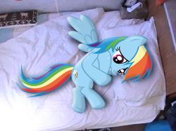 Size: 750x562 | Tagged: safe, artist:tesla51, artist:waranto, character:rainbow dash, bed, crying, curled up, irl, photo, ponies in real life, sad, solo, vector