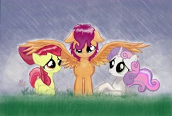Size: 6936x4656 | Tagged: safe, artist:invalid-david, character:apple bloom, character:scootaloo, character:sweetie belle, absurd resolution, cutie mark crusaders, flower, grass, rain, sad, wing umbrella