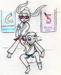 Size: 1139x1398 | Tagged: safe, anonymous artist, character:sugarcoat, character:trixie, equestria girls:friendship games, g4, my little pony: equestria girls, my little pony:equestria girls, barefoot, blue belt, clothing, feet, gi, judo, red belt, robe, traditional art, trousers