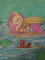 Size: 1024x1365 | Tagged: safe, artist:penkatshi, character:fluttershy, species:duck, species:pegasus, species:pony, chest fluff, female, mare, pond, sketch, swan, traditional art, water