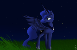 Size: 2000x1300 | Tagged: safe, artist:kyroking, character:princess luna, female, grass, looking back, night, solo