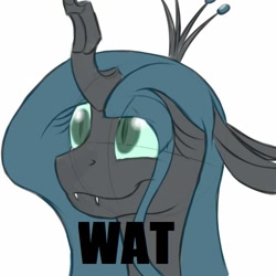 Size: 500x500 | Tagged: safe, artist:kyroking, character:queen chrysalis, female, image macro, reaction image, solo, wat
