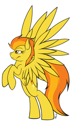 Size: 1200x2000 | Tagged: dead source, safe, artist:kyroking, character:spitfire, species:pegasus, species:pony, female, lidded eyes, mare, rearing, simple background, smiling, solo, spread wings, white background, wings
