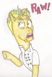 Size: 750x1107 | Tagged: safe, artist:thegloriesbigj, character:gourmand ramsay, gordon ramsay, ponified, solo, traditional art