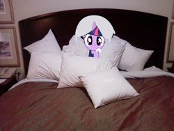 Size: 1280x960 | Tagged: safe, artist:bryal, character:twilight sparkle, species:pony, bed, irl, photo, pillow, pillow hat, ponies in real life, solo, vector