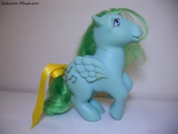 Size: 4000x3000 | Tagged: safe, artist:ushi-de-bray, character:medley, g1, bow, irl, photo, solo, tail bow, toy