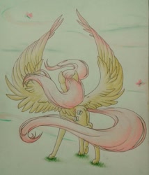 Size: 1362x1591 | Tagged: safe, artist:cloud-dash, character:fluttershy, species:pegasus, species:pony, colored wings, female, looking away, mare, multicolored wings, raised leg, rear view, solo, spread wings, traditional art, windswept hair, windswept mane, wings