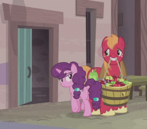 Size: 480x421 | Tagged: safe, artist:steghost, edit, edited screencap, screencap, character:big mcintosh, character:sugar belle, species:earth pony, species:pony, ship:sugarmac, episode:hard to say anything, g4, my little pony: friendship is magic, animated, bedroom eyes, door, female, gif, implied coitus, male, mare, sheldon cooper, shipping, stallion, straight, the big bang theory