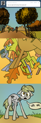 Size: 500x1470 | Tagged: safe, artist:quintessentially-peculiar, character:derpy hooves, species:pegasus, species:pony, ask, comic, running of the leaves, tumblr, tumblr:ask little derpy