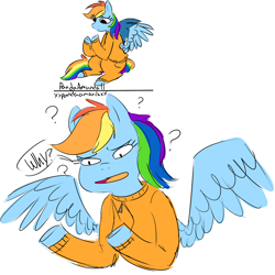 Size: 2040x2040 | Tagged: safe, artist:pandaamanda11, character:rainbow dash, species:pegasus, species:pony, clothing, female, mare, prison outfit, prisoner, prisoner rd, question mark, solo, why