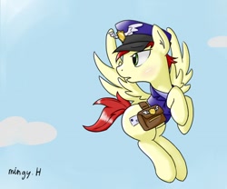 Size: 600x500 | Tagged: safe, artist:mingy.h, species:pony, care package, cloud, flying, male, sky, solo, special delivery