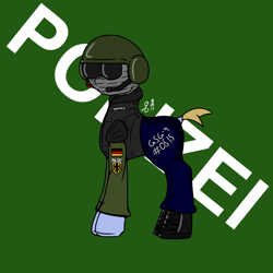 Size: 3000x3000 | Tagged: safe, artist:lambdacat, oc, oc only, ambiguous gender, clothing, german, gsg9, helmet, police, polizei, simple background, solo, uniform