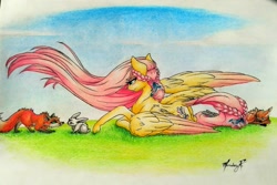 Size: 1299x869 | Tagged: safe, artist:cloud-dash, character:fluttershy, species:deer, species:fox, species:pegasus, species:pony, species:rabbit, alternate hairstyle, animal, braid, fawn, looking at something, one wing out, prone, smiling, traditional art, windswept mane, wings