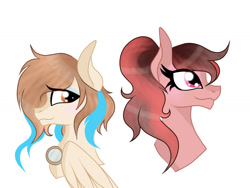 Size: 1400x1050 | Tagged: safe, artist:owocrystalcatowo, oc, oc only, oc:ocean drop, species:pegasus, species:pony, bust, female, mare, portrait, simple background, white background