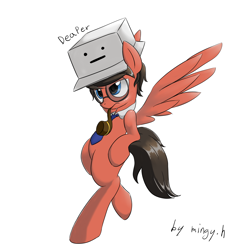 Size: 2300x2350 | Tagged: safe, artist:mingy.h, oc, oc only, species:pegasus, species:pony, box, glasses, necktie, pipe, requested art, simple background, solo, white background