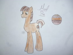 Size: 4320x3240 | Tagged: safe, artist:thr3eguess3s, oc, oc:mud pie, parent:maud pie, parent:mudbriar, parents:maudbriar, species:earth pony, species:pony, male, offspring, solo, stallion, traditional art