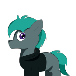 Size: 4000x4000 | Tagged: safe, artist:velvet rose, oc, oc only, oc:zepyhr rose, species:pony, looking at you, male, simple background, simple shading, solo, stallion, transparent background