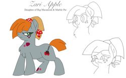 Size: 800x500 | Tagged: safe, artist:zee-stitch, oc, oc only, oc:zari apple, parent:big macintosh, parent:marble pie, parents:marblemac, species:earth pony, species:pony, chest fluff, female, freckles, mare, offspring, simple background, solo, white background
