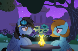 Size: 6500x4231 | Tagged: safe, artist:soowen, artist:teepew, base used, oc, oc only, oc:diamond breeze, oc:neo miles, species:pegasus, species:pony, absurd resolution, candle, commission, flower, goggles, neomond, night, outdoors, romantic, sitting, table, ych result