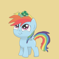 Size: 700x700 | Tagged: safe, artist:spicyhamsandwich, character:rainbow dash, character:tank, species:pegasus, species:pony, adorable face, cute, dashabetes, duo, duo male and female, female, filly, filly rainbow dash, foal, male, tankabetes, tortoise