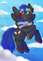 Size: 1024x1448 | Tagged: safe, artist:fishiewishes, oc, oc only, oc:silverwind, species:pegasus, species:pony, clothing, cloud, commission, flying, goggles, male, scarf, sky, solo, stallion, unshorn fetlocks, wind