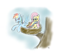 Size: 1309x1188 | Tagged: safe, artist:werdkcub, character:fluttershy, character:rainbow dash, newbie artist training grounds, atg 2018, behaving like a bird, biting, duo, nest, tail bite, traditional art, tree, tree branch