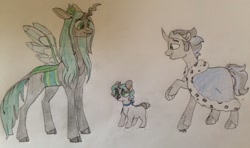 Size: 1023x605 | Tagged: safe, artist:doodletheexpoodle, character:good king sombra, character:king sombra, character:queen chrysalis, parent:king sombra, parent:queen chrysalis, parents:chrysombra, species:changepony, ship:chrysombra, family, female, hybrid, interspecies offspring, male, offspring, shipping, straight, traditional art