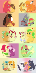 Size: 2255x4561 | Tagged: safe, artist:tejedora, character:apple honey, character:big mcintosh, character:braeburn, character:bushel, character:caramel, character:cheerilee, character:flam, character:flim, character:half baked apple, character:hoss, character:irma, character:little strongheart, character:natalya, character:peachy sweet, character:rover, character:sunflower, character:tree hugger, character:trouble shoes, species:buffalo, species:diamond dog, species:griffon, ship:braeheart, ship:caramac, apple family member, blushing, bumpkilee, bushelflim, calamity mane, caramity, crack shipping, female, flamleaves, flower, gay, half baked shoes, interspecies, lesbian, male, natelle, natelleflower, natflower, older, one eye closed, polyamory, roversweet, shipping, straight, sunelle, treehoney