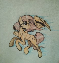 Size: 1005x1080 | Tagged: safe, artist:incrediblepanzer, character:fluttershy, species:pegasus, species:pony, female, flying, head turn, looking away, mare, solo, spread wings, traditional art, windswept mane, wings