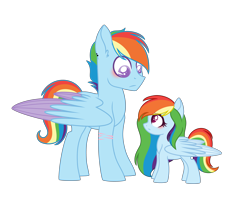 Size: 5512x4336 | Tagged: safe, artist:dashblitzfan4ever, character:rainbow dash, oc, species:pegasus, species:pony, absurd resolution, age difference, alternate universe, blushing, ear piercing, female, filly, folded wings, looking at each other, male, piercing, ponidox, rule 63, scar, self ponidox, simple background, size difference, stallion, transparent background, two toned wings, wings, younger