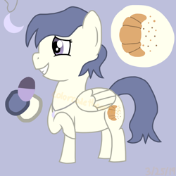 Size: 1536x1536 | Tagged: safe, artist:colorcodetheartist, oc, oc:crescent moon, parent:derpy hooves, parent:princess luna, parents:lunaderp, species:pegasus, species:pony, awkward smile, female, jewelry, mare, necklace, reference sheet, simple background, watermark